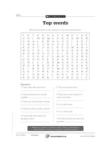 Food chains – Vocabulary wordsearch
