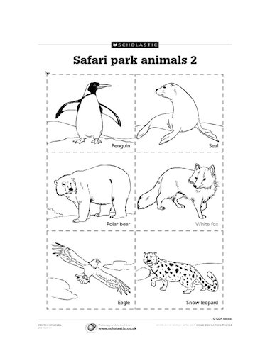Safari park animals 2 – Primary KS1 teaching resource - Scholastic