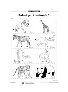 Safari park animals 1