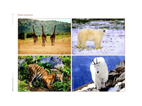 Wild animals - poster