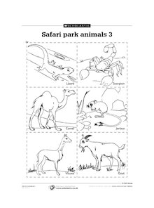 Safari park animals 3