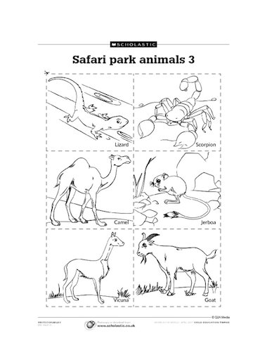 Safari park animals 3 – Primary KS1 teaching resource - Scholastic
