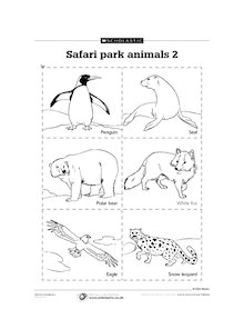 Safari park animals 2