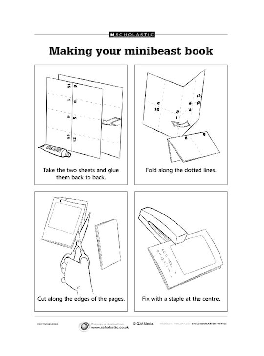 Making your minibeast book