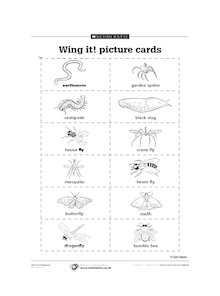 Wing it! picture cards