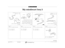 My minibeast key 2