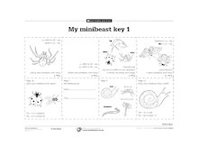 My minibeast key 1