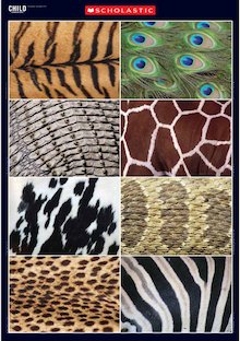 Animal patterns