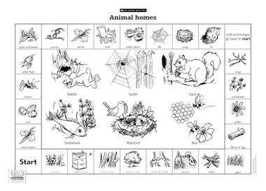 Animal homes board game – Primary KS1 teaching resource - Scholastic