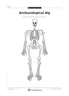 Archaelogical dig – skeletons