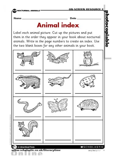 Animal index – FREE Primary KS1 teaching resource - Scholastic
