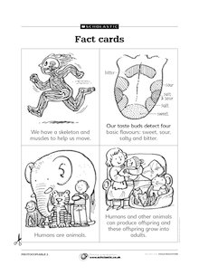 Ourselves – fact cards 2