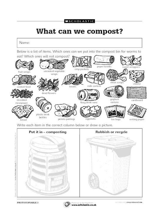 What can we compost? - activity