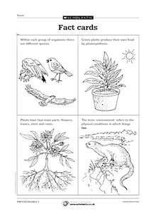 Plants and habitats: Fact cards 1
