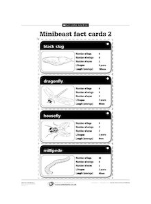 Minibeast fact cards 2
