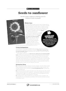 Seeds to sunflower