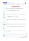 Spider facts quiz
