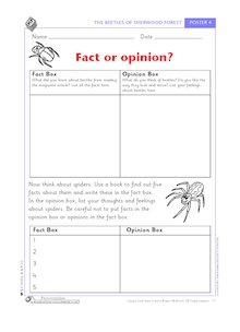 Spiders and beetles – Fact or opinion?