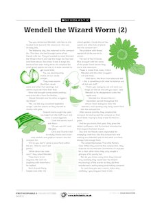Wendell the Wizard Worm (2)