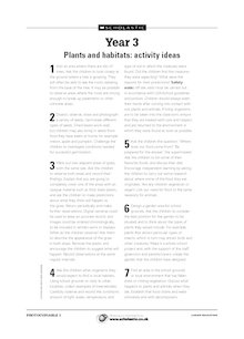 Plants and habitats – Year 3 activity ideas