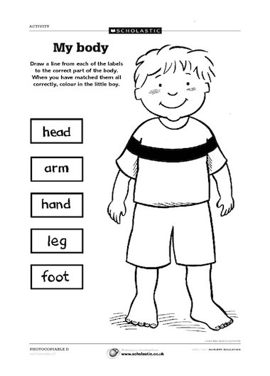 My body - label the picture - Early Years teaching resource - Scholastic