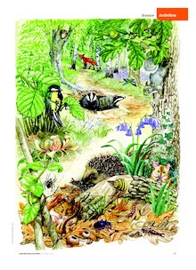 Woodland flora and fauna poster