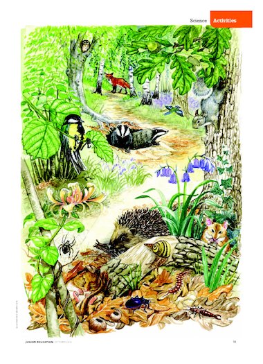 Gambar Poster Flora Dan Fauna