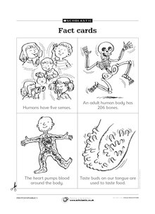 Ourselves – fact cards 1