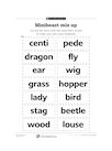 Minibeast mix up