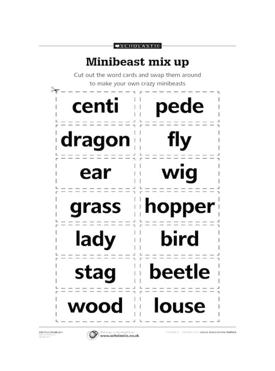 Minibeast mix up