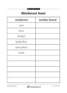 Minibeast hunt
