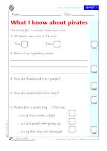 What I know about pirates