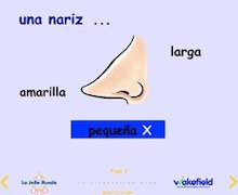 Year 4 Spanish – Adjectives for facial features