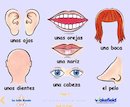 Year 4 Spanish – Parts of the head