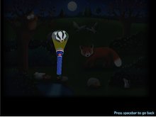 Night-time in the park – interactive