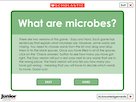 What are microbes? – interactive resource