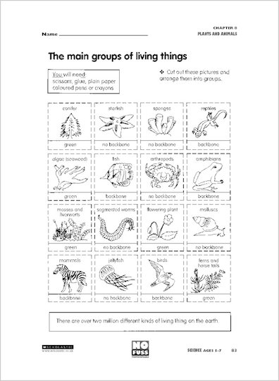 The main groups of living things