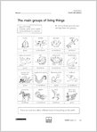 The main groups of living things (1 page)