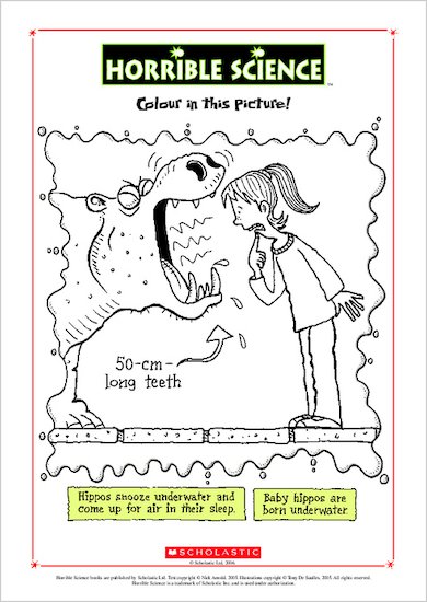 Horrible Science Colouring Activity
