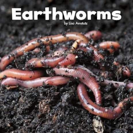 Little Creatures: Earthworms