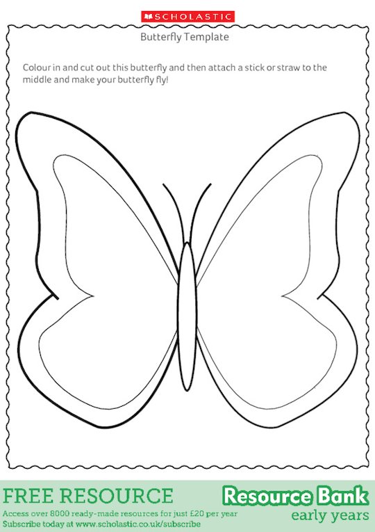 Butterfly Template