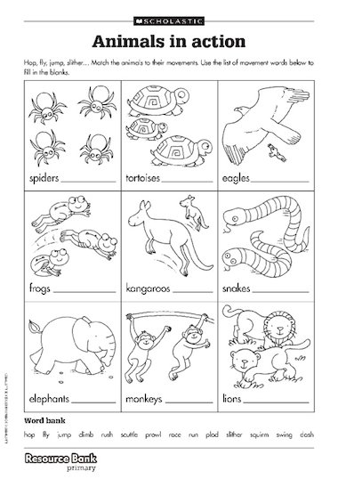 Animals in action – Primary KS1 teaching resource - Scholastic