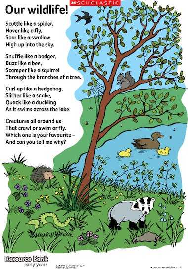 Our wildlife! poem in colour – Early Years teaching resource - Scholastic