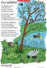 Our wildlife! poem in colour