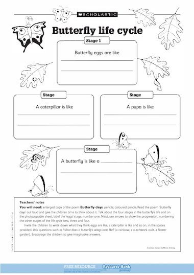 Butterfly life cycle – FREE Primary KS1 teaching resource - Scholastic