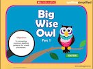 Spelling simplified: Big Wise Owl game
