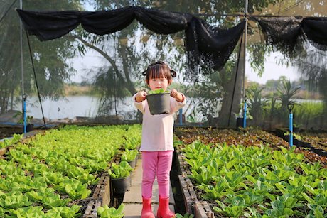 Girl farming