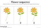 Flower sequence