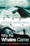 Why the Whales Came