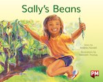 PM Yellow: Sally's Beans (PM Storybooks) Level 6